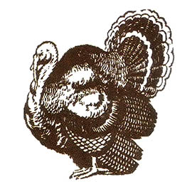 Sarah Josepha Hale and President Abraham Lincoln first established the annual celebration of Thanksgiving Day in 1863.